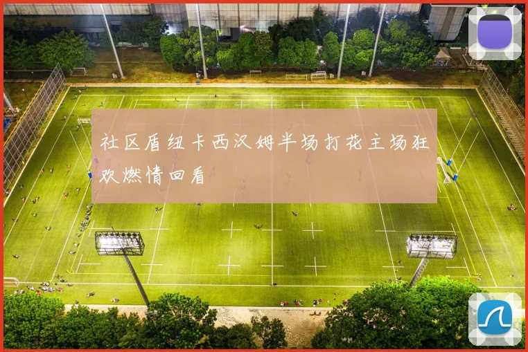 社区盾纽卡西汉姆半场打花主场狂欢燃情回看