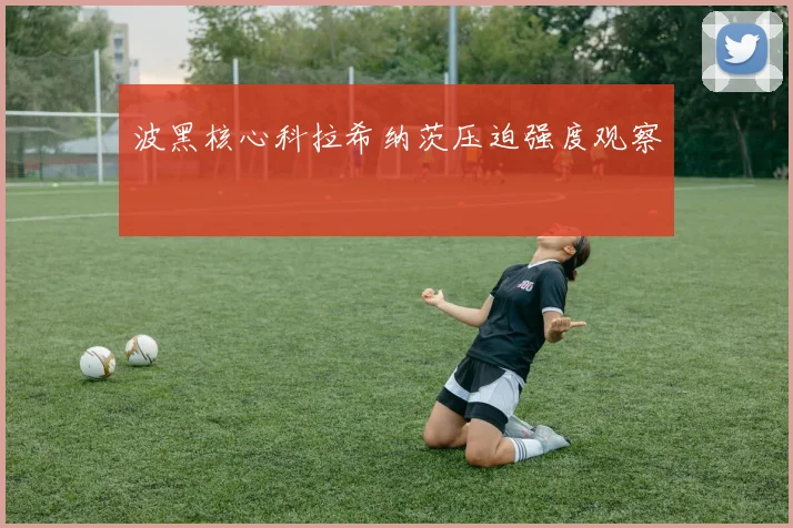 波黑核心科拉希纳茨压迫强度观察