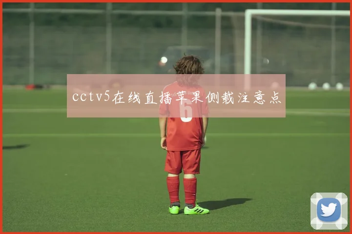 cctv5在线直播苹果侧载注意点