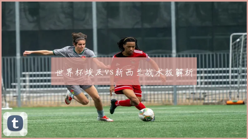 世界杯埃及vs新西兰战术板解析